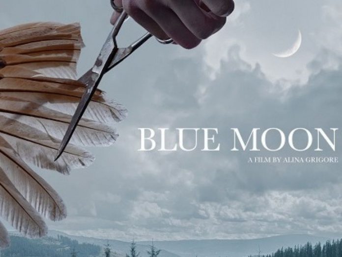 Blue-Moon-San-sEbastian